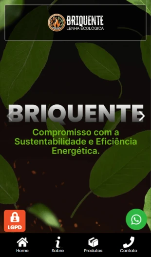 Briquente