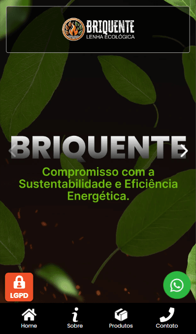 Briquente